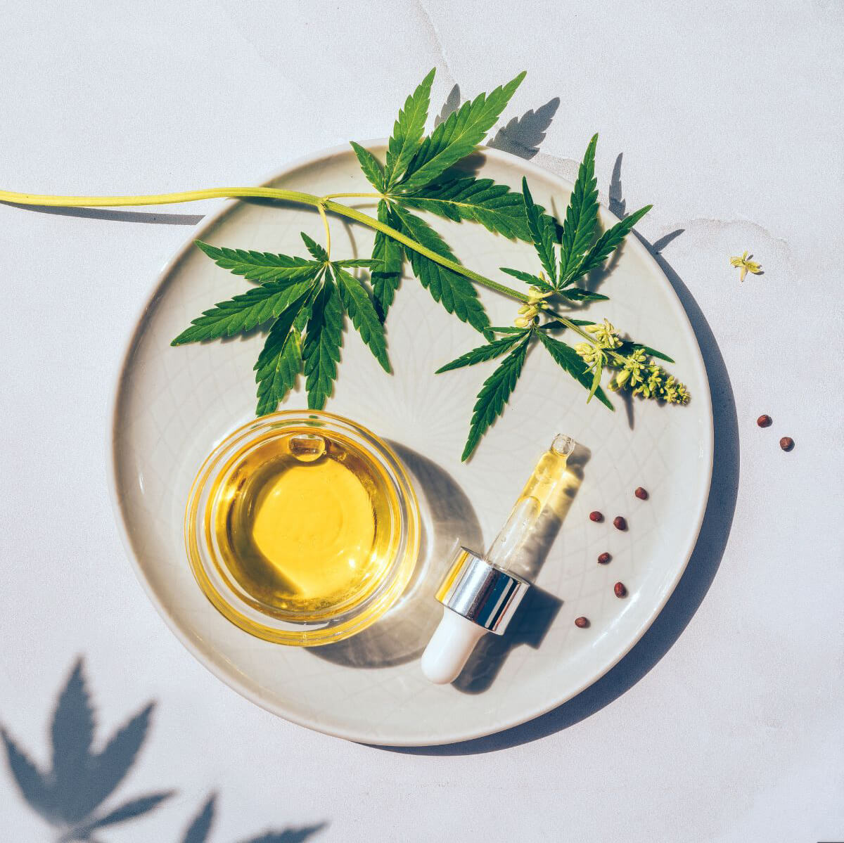 2 cbd oil, dropper, and cannabis leaves on a dish